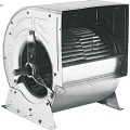 Fanlar