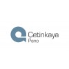 ÇETİNKAYA
